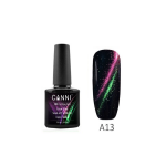 Oja Canni Magnetica 3D Cat Eye A13